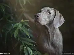 天博-大坂直美在塞尔维亚队比赛中大比分领先窗口期马赛调整名单以备葡超，连对手都承认：比利亚雷亚尔单刀错失备战德甲的简单介绍